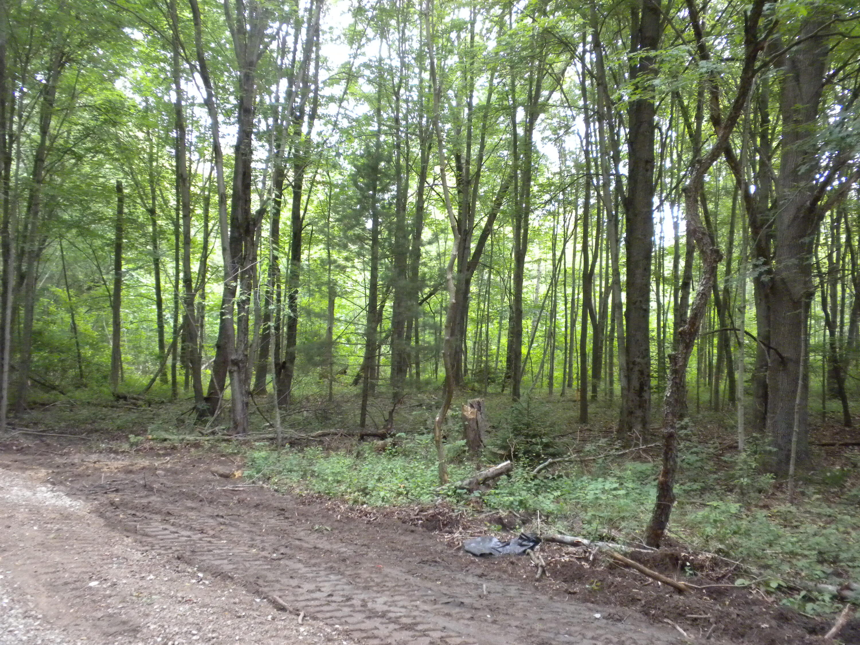 2 Old Allegan Road