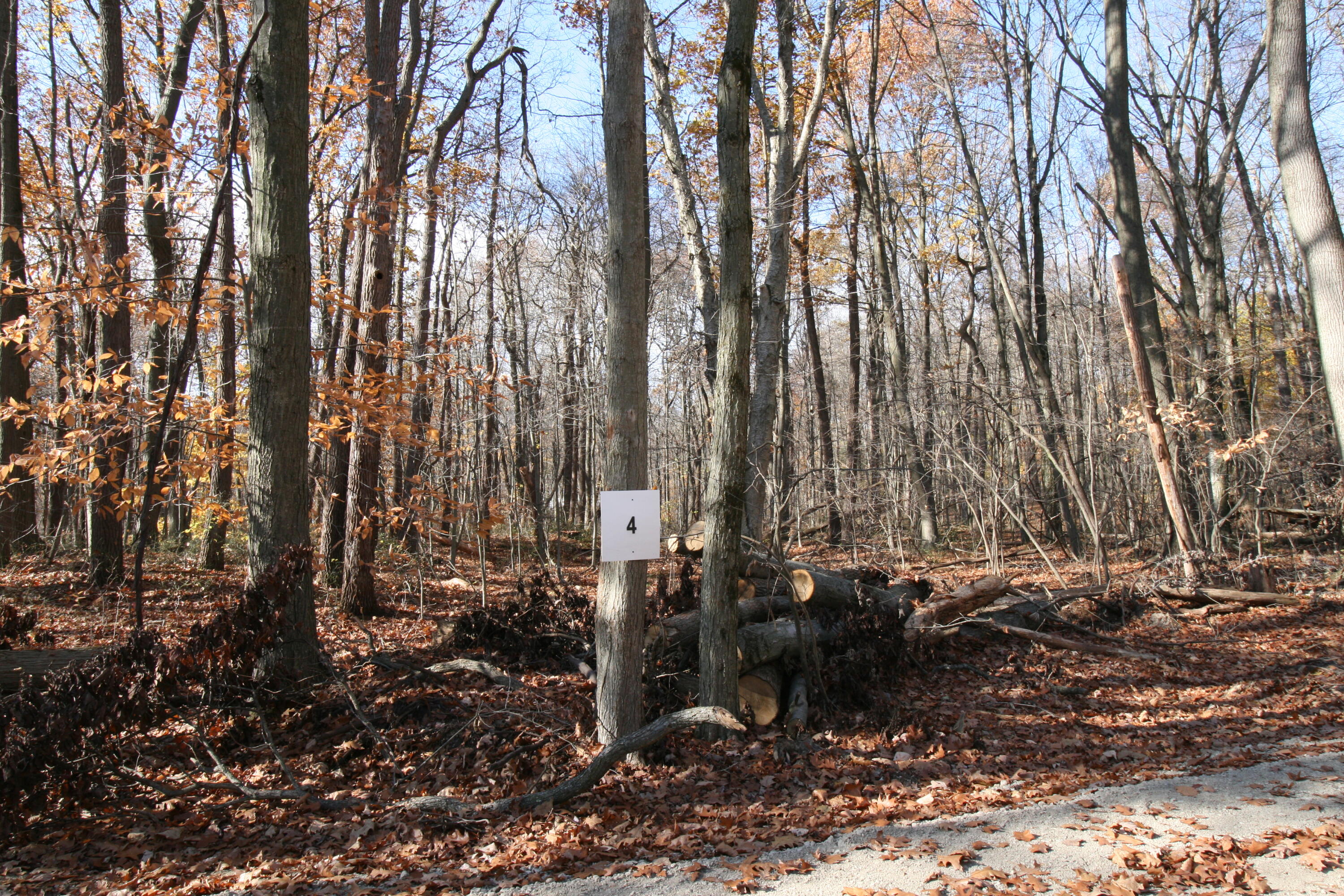 3248 Westwood Trail