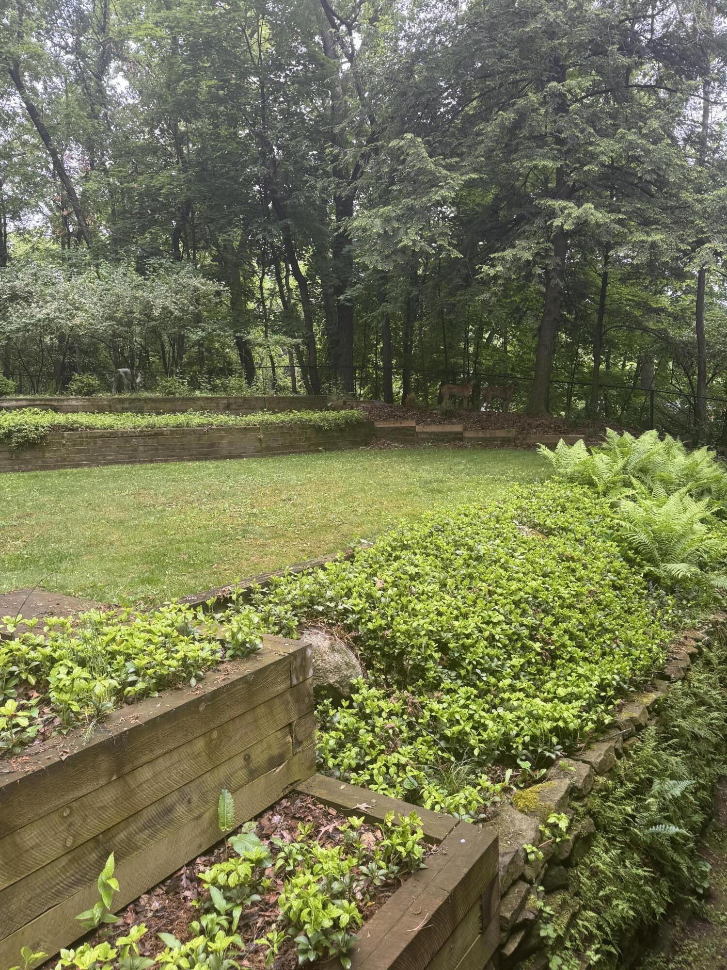 2146 Treehaven Drive