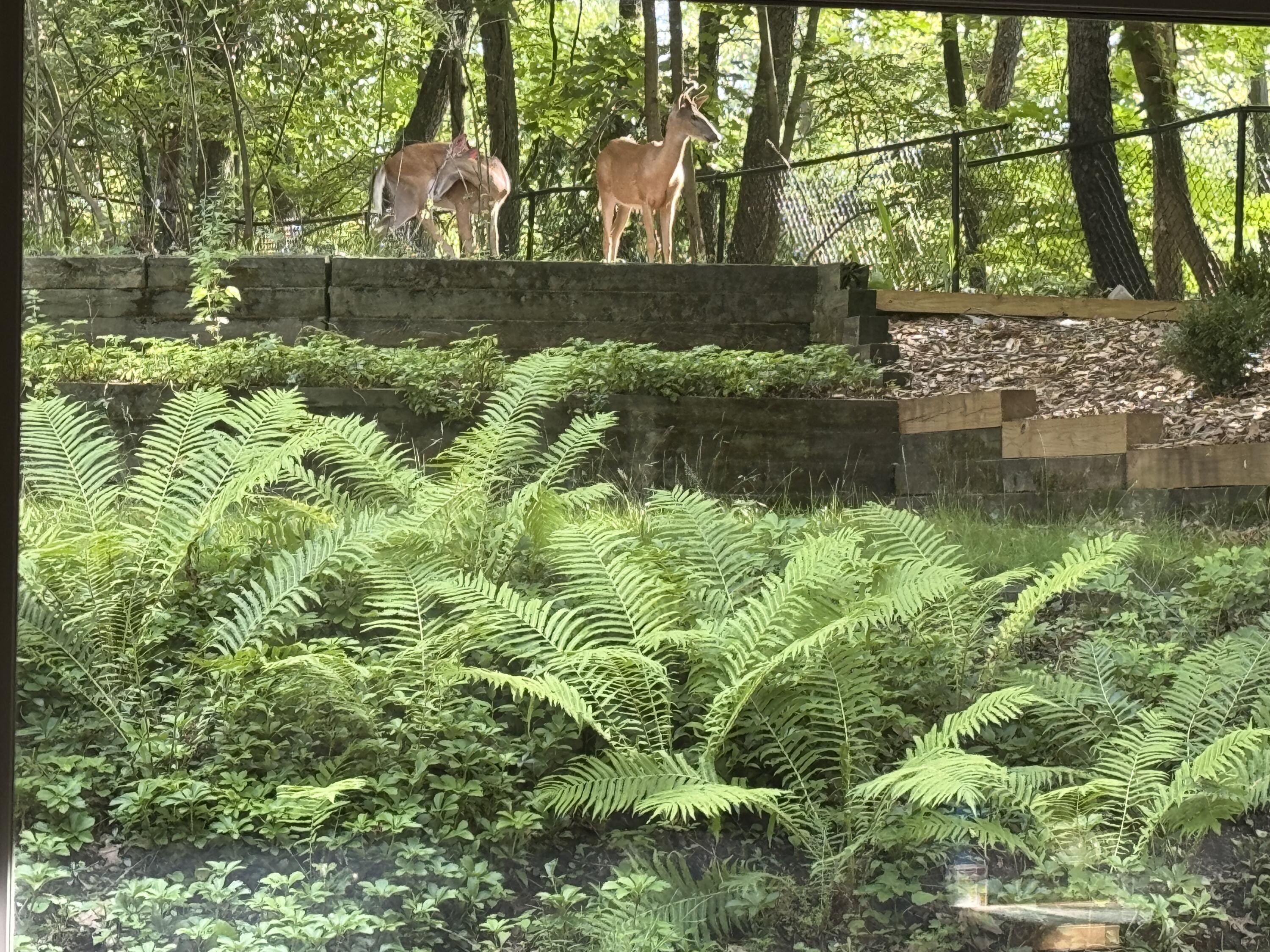 2146 Treehaven Drive