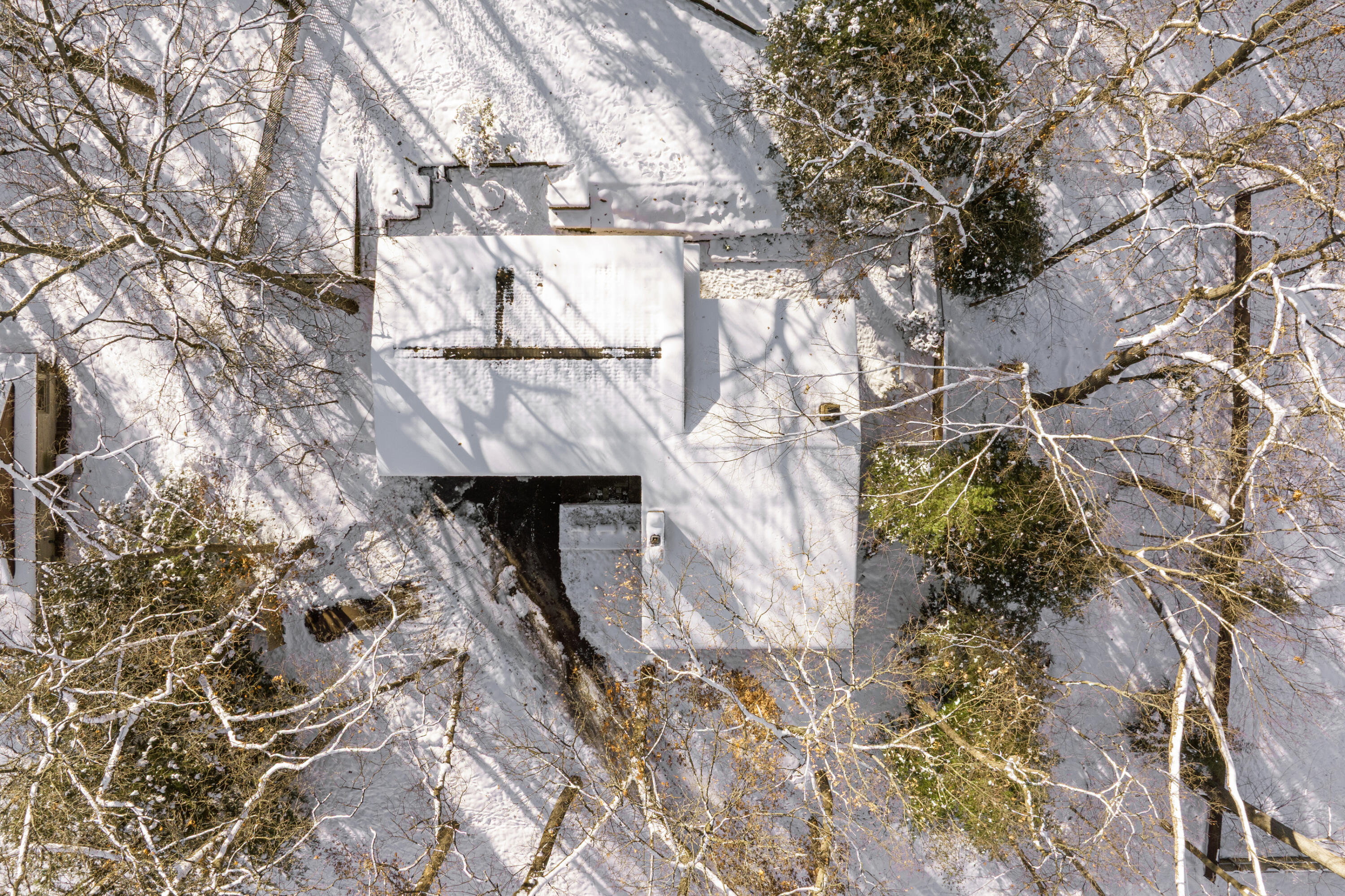 2146 Treehaven Drive