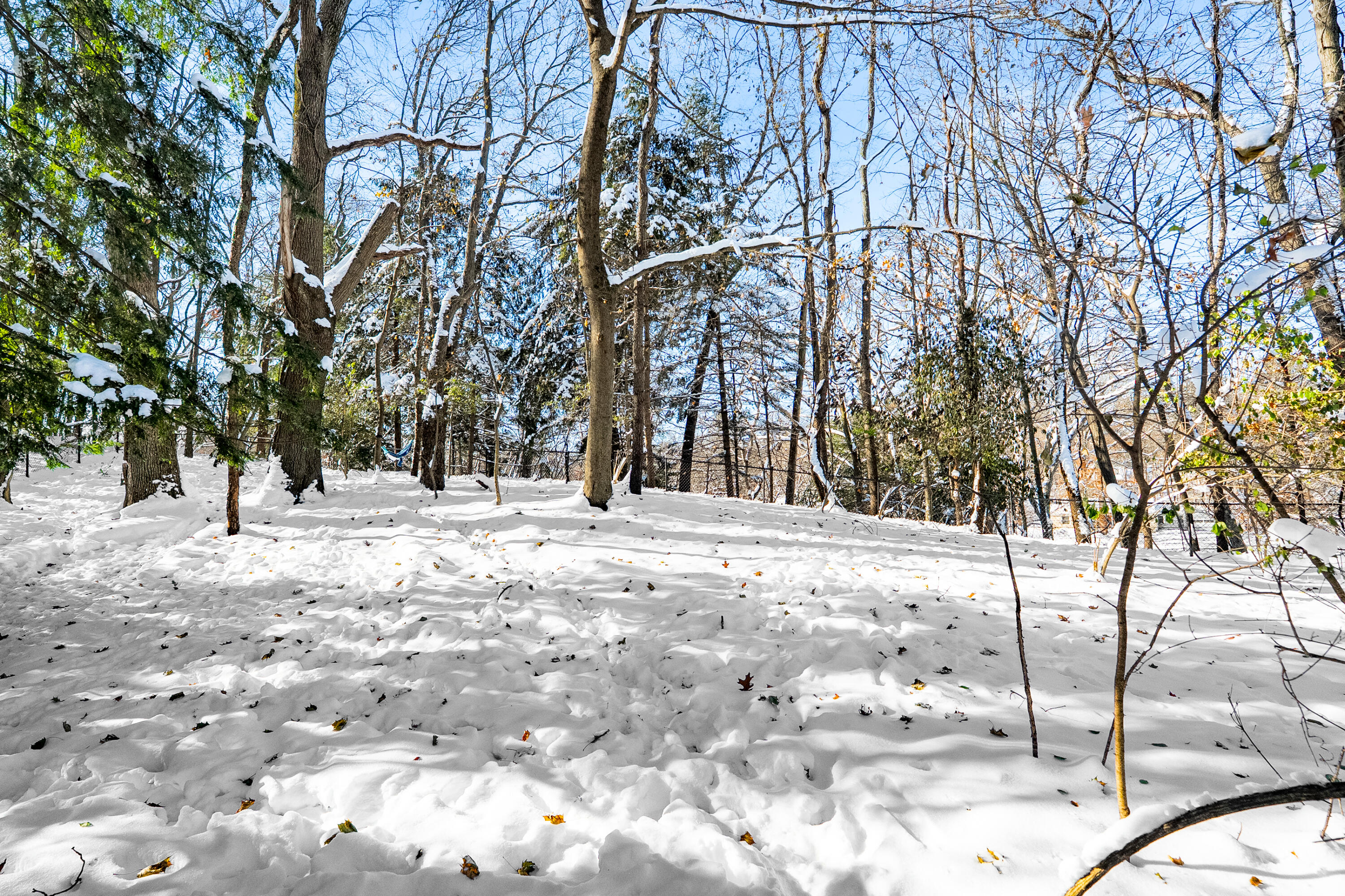 2146 Treehaven Drive