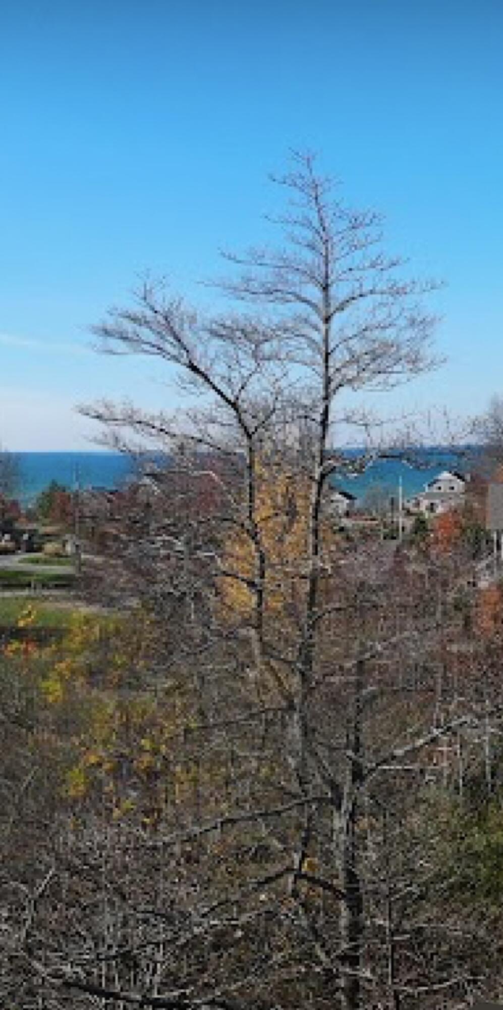 7368 Beachview Drive