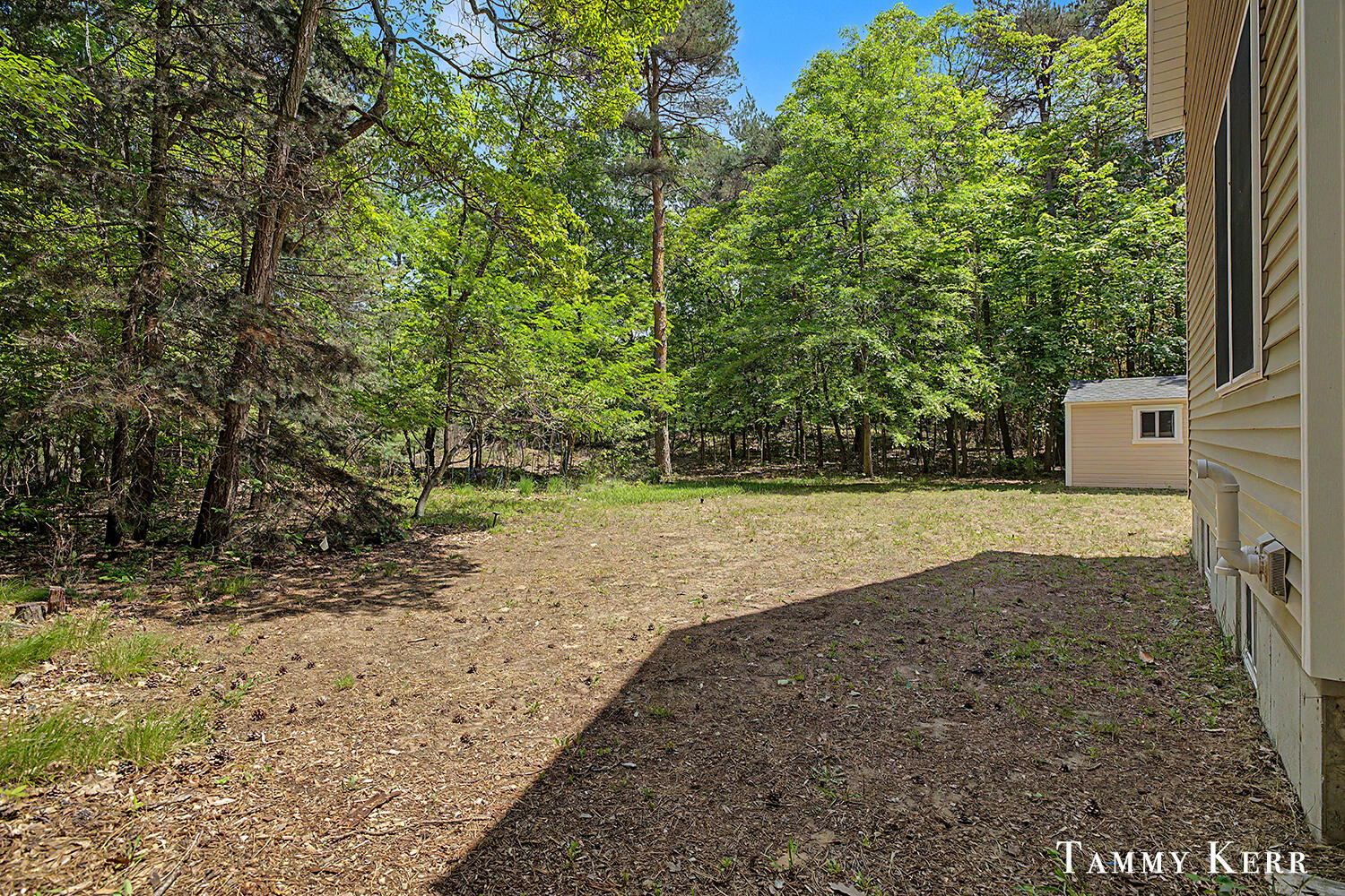2339 Forest Trail Circle