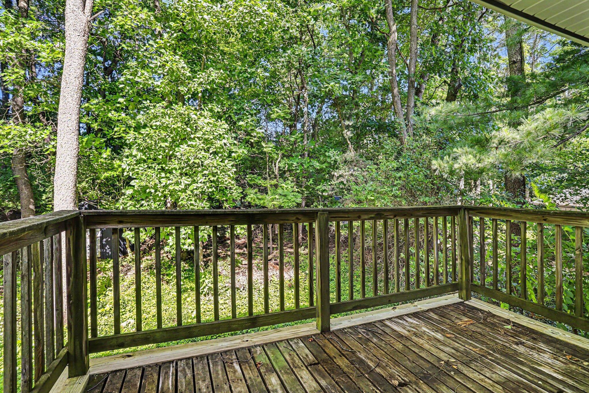 3907 Cricket Lane