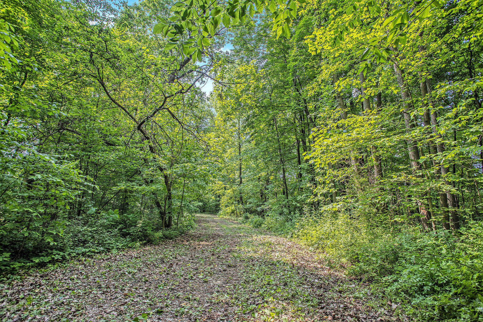 VL County Road 354
