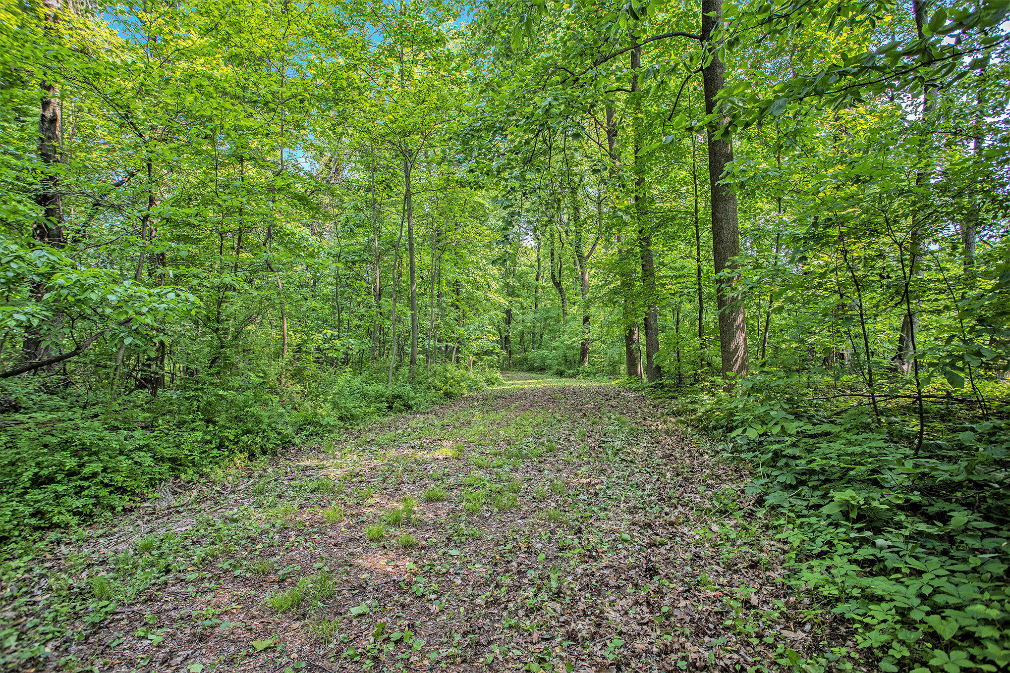 VL County Road 354