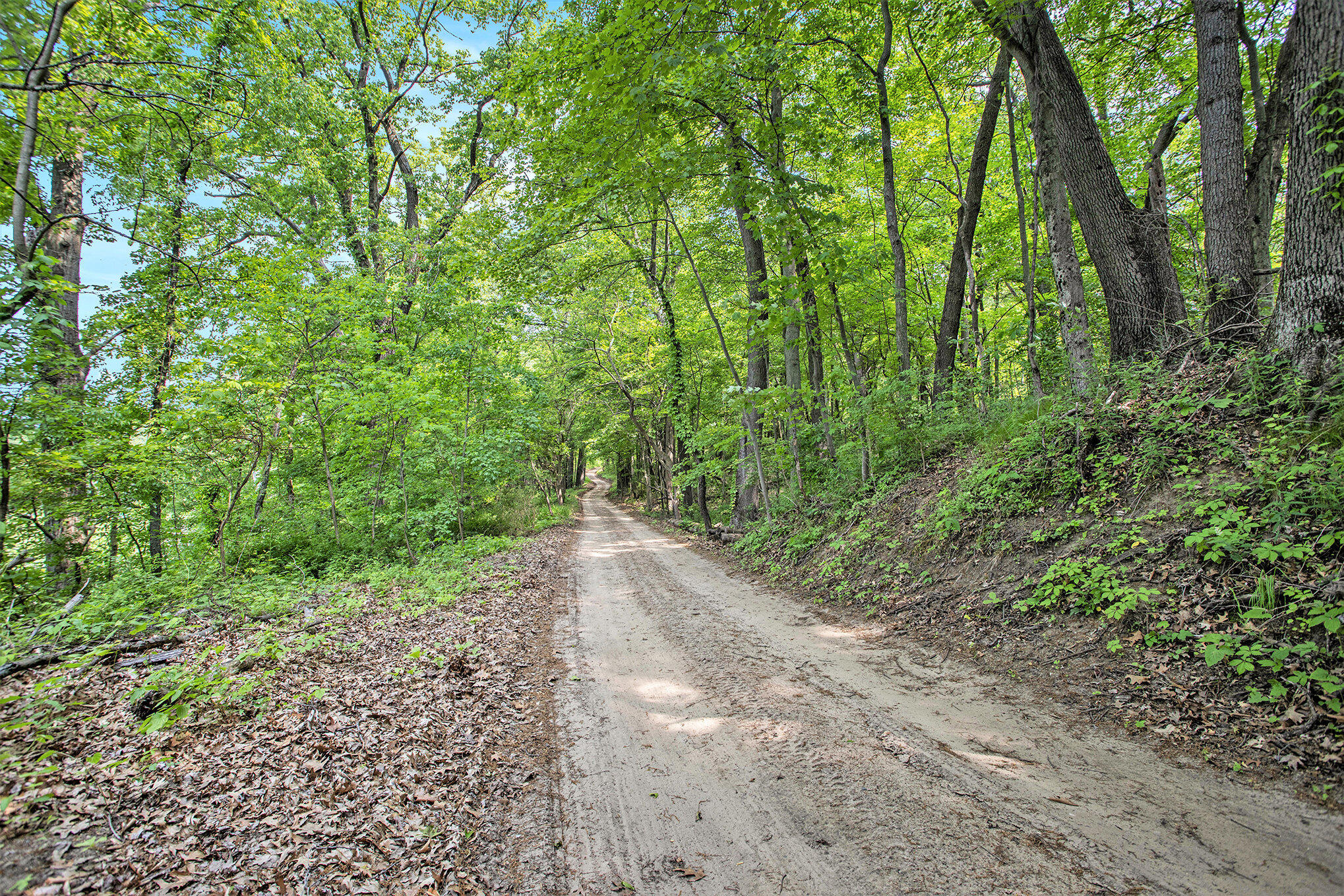 VL County Road 354