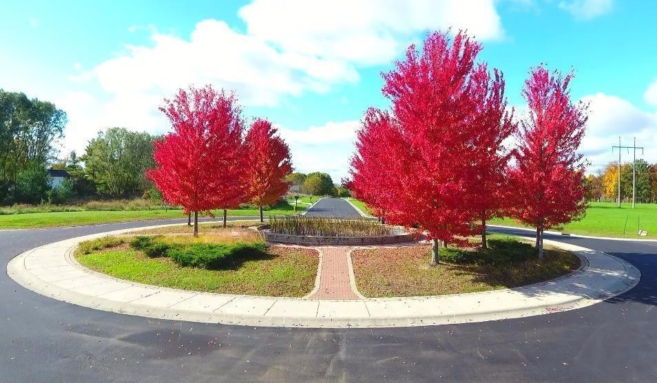 289 Apple Grove Lane