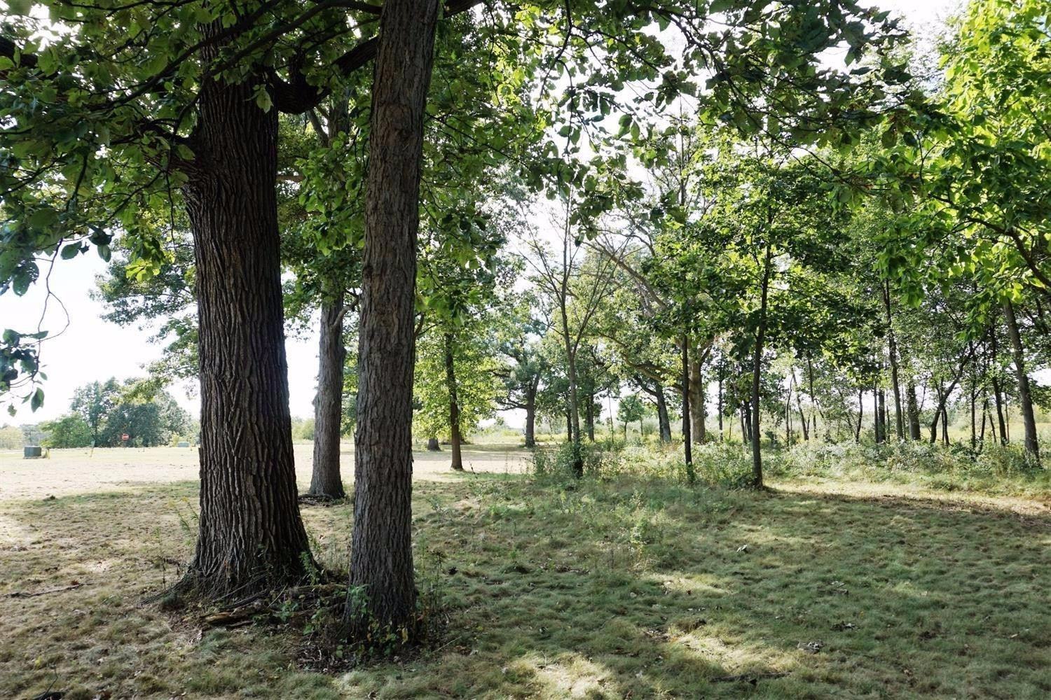 289 Apple Grove Lane