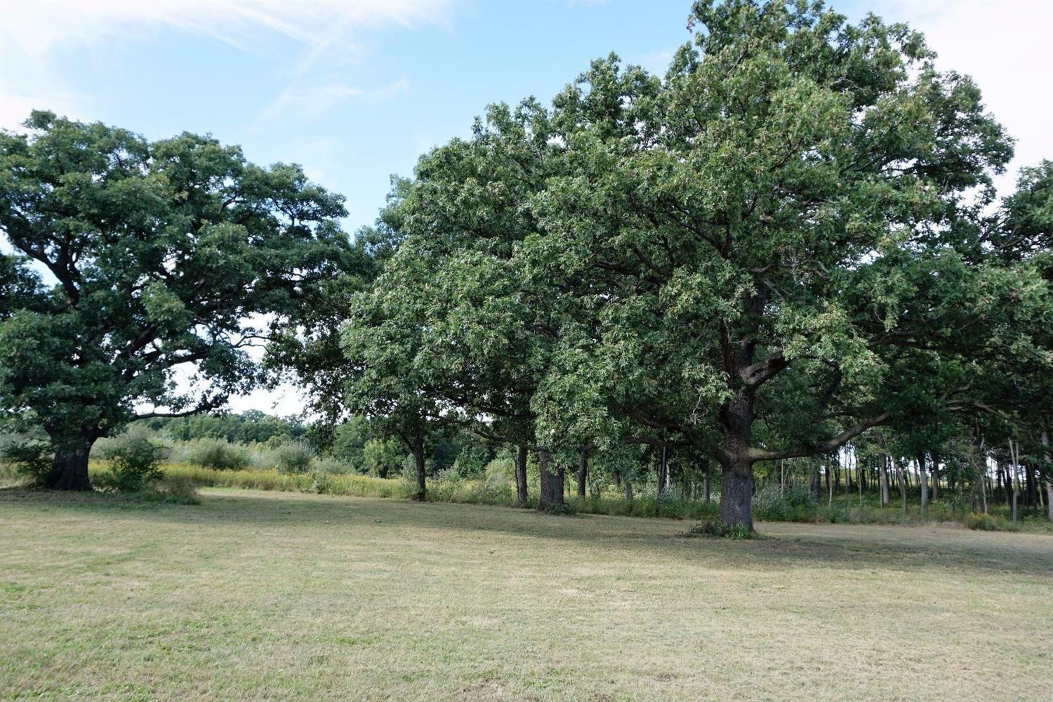 289 Apple Grove Lane