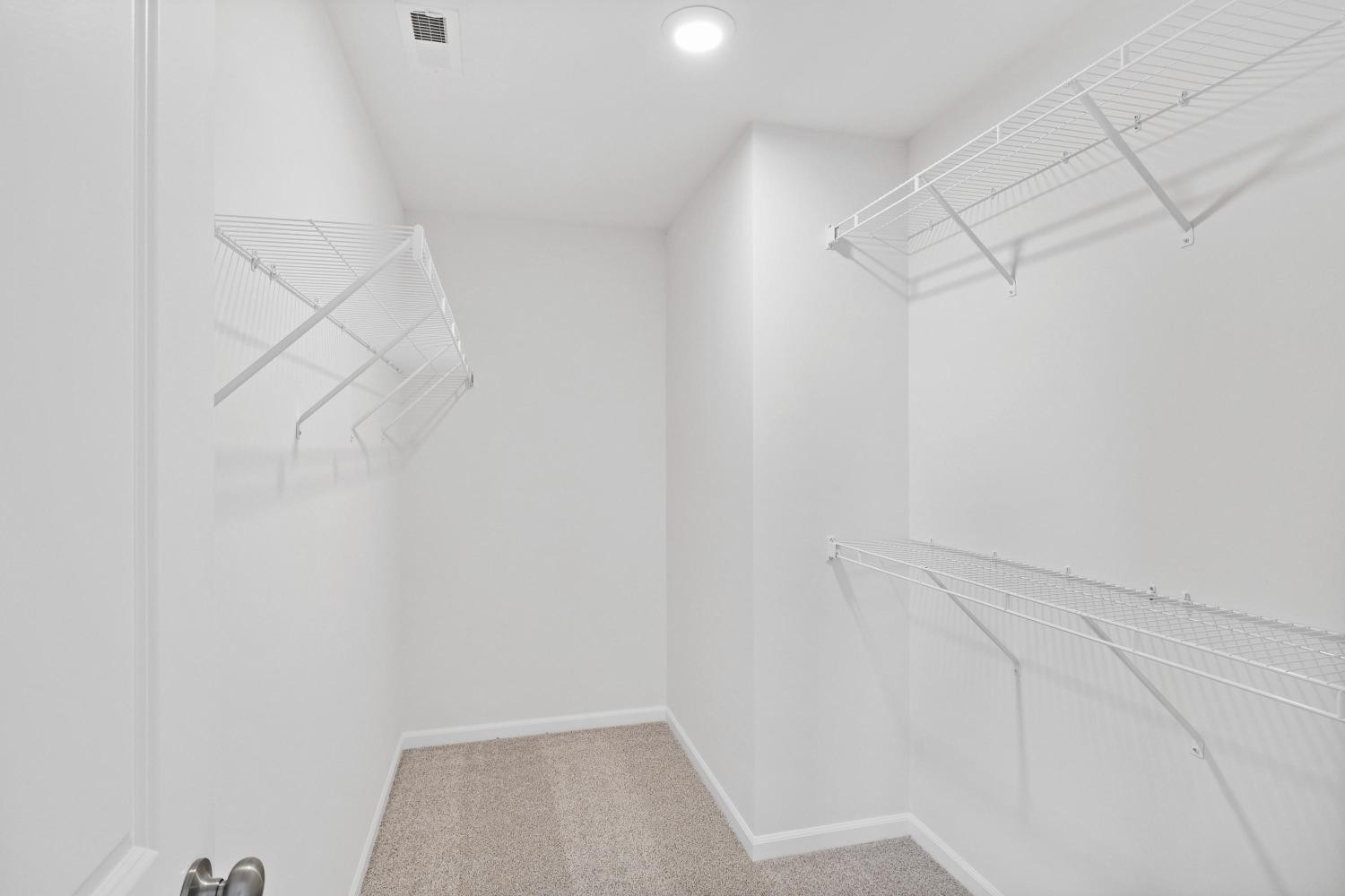 549 Stellata Lane
