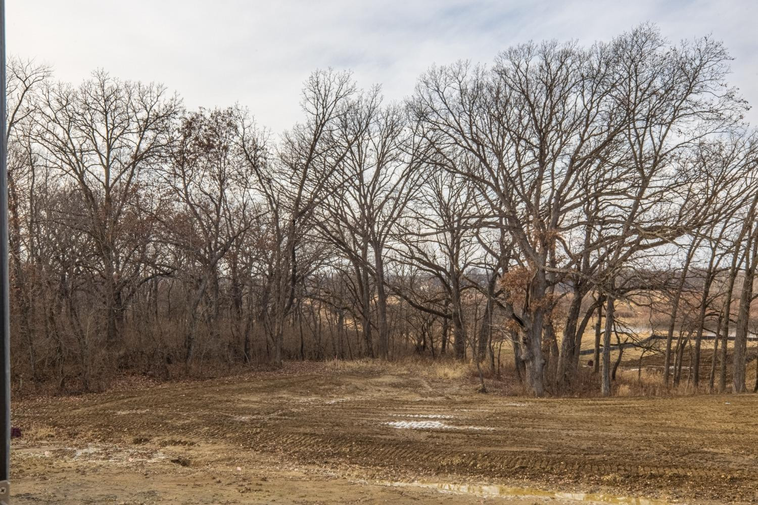 9510 Tall Grass Trail