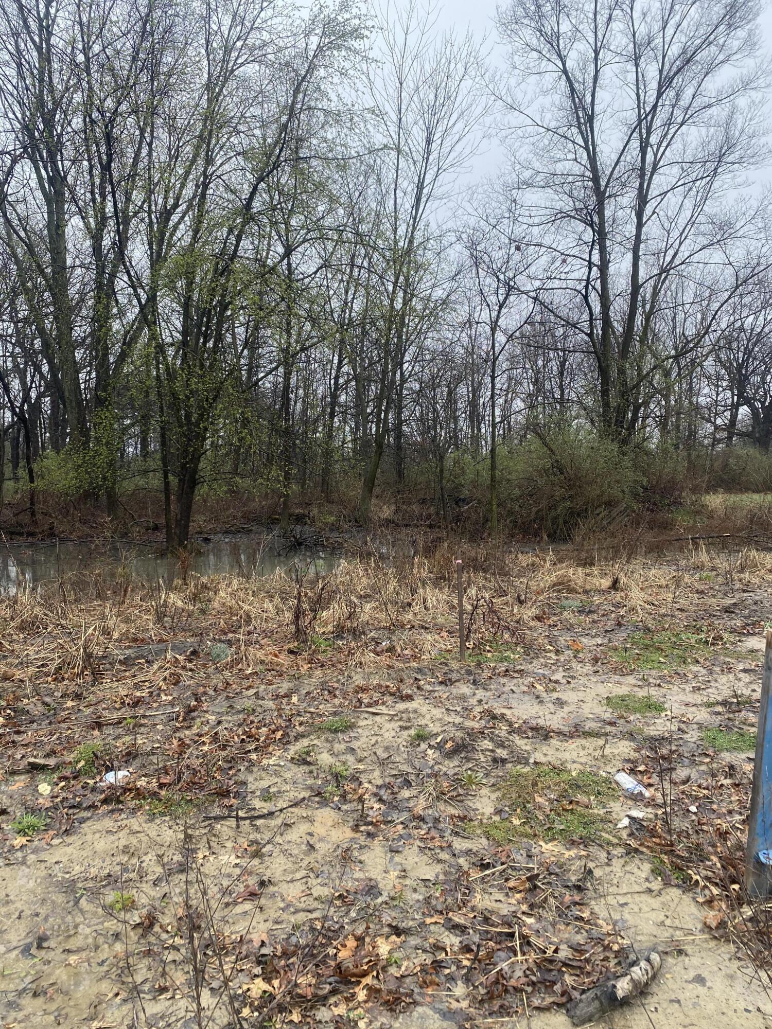 11244 Atherton Street