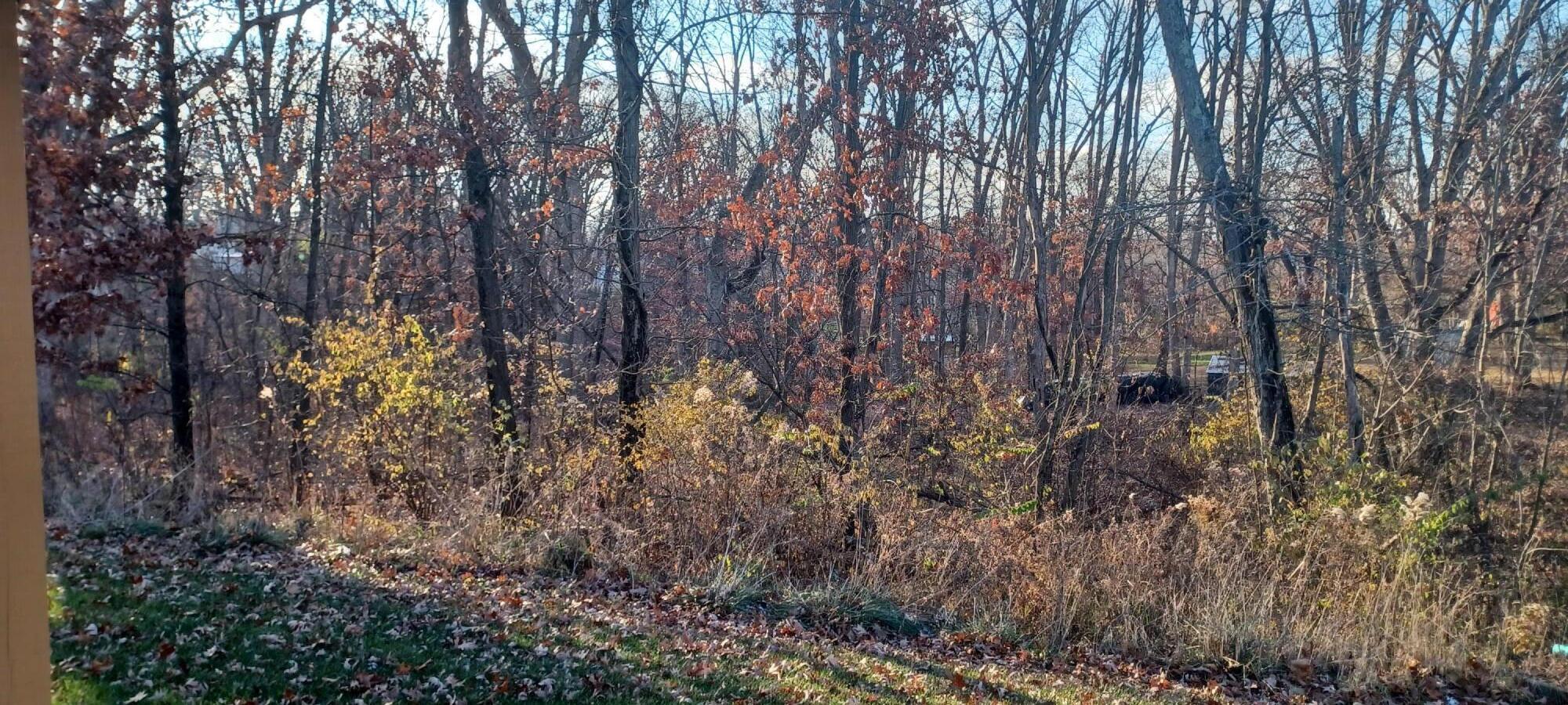 1011 Oak Grove Court