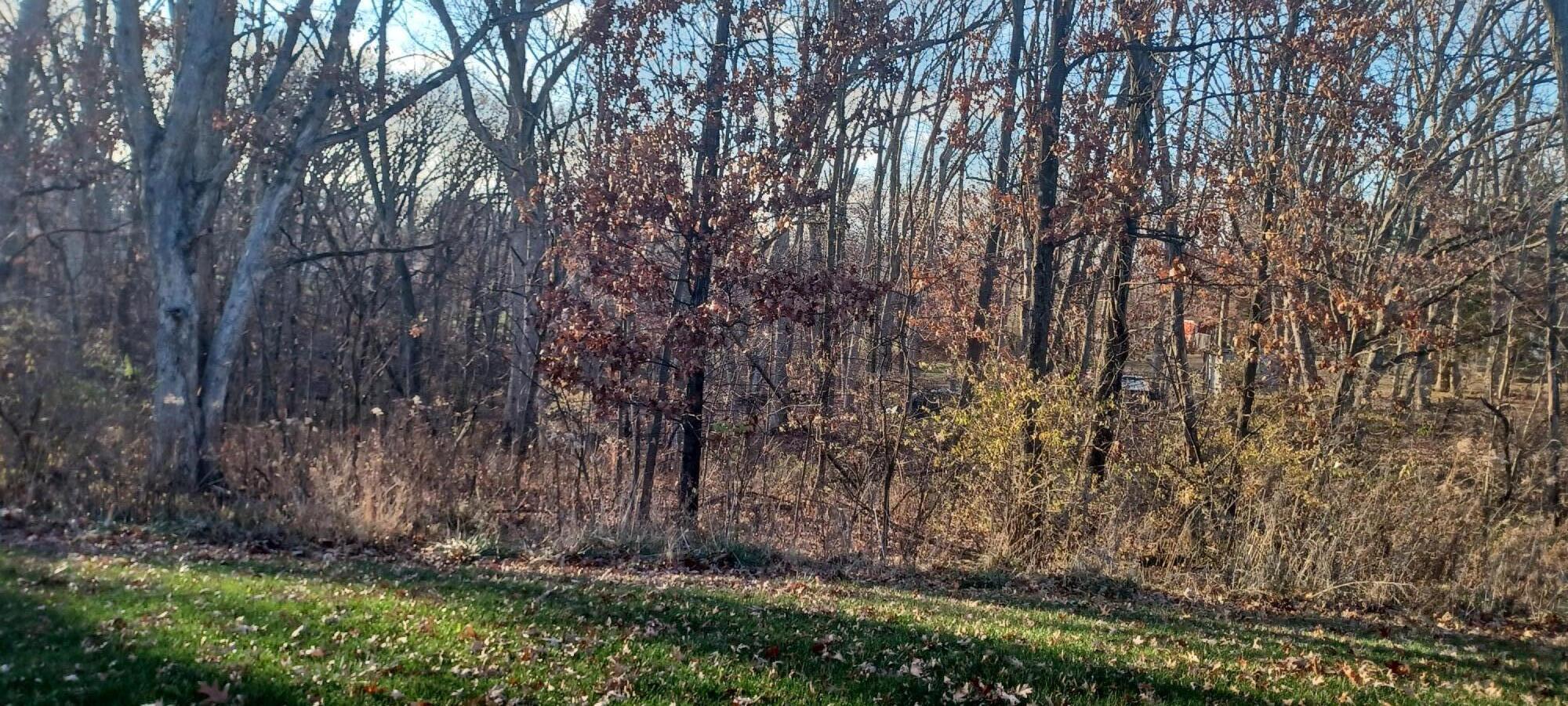 1011 Oak Grove Court