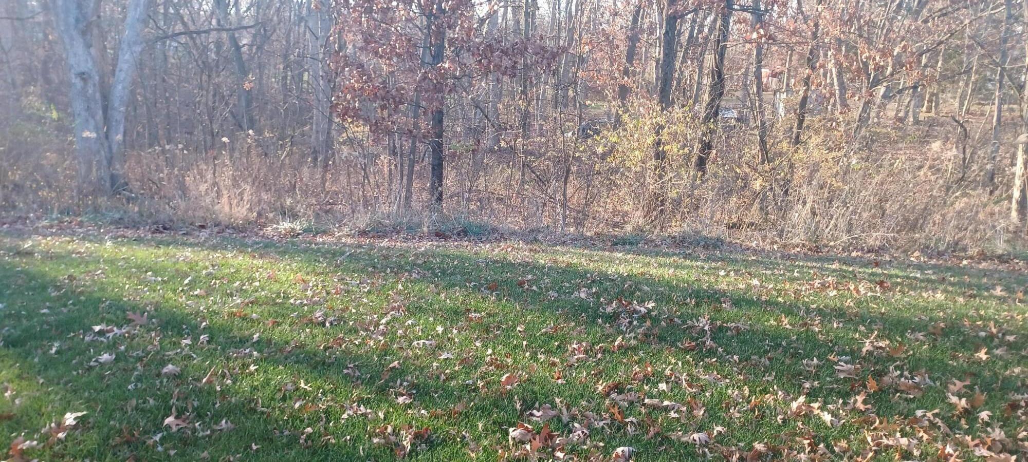 1011 Oak Grove Court