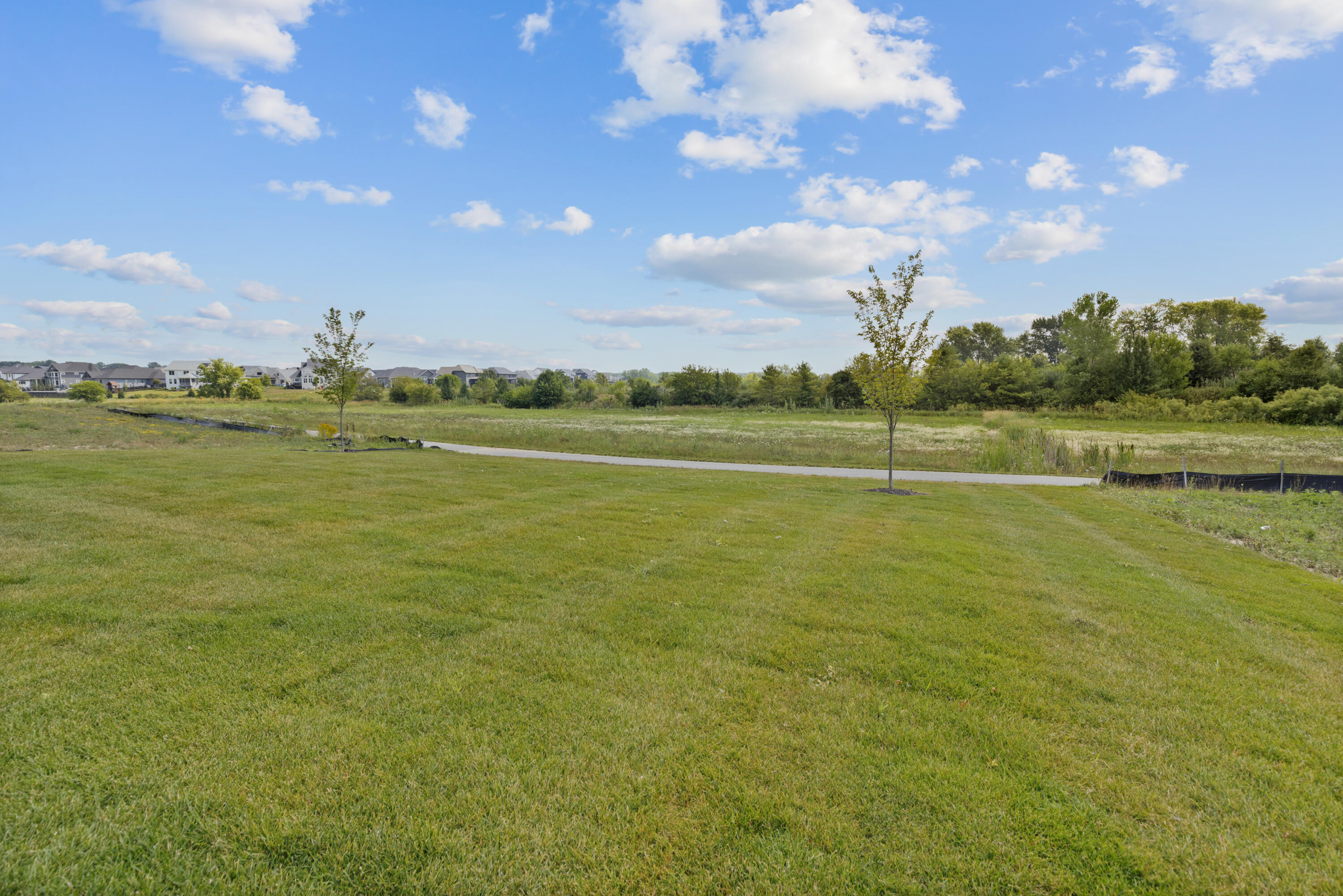 10025 Switch Grass Lane