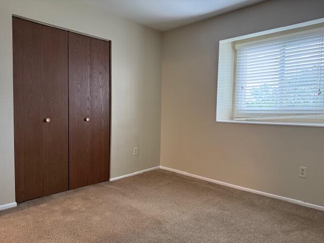 1112 Camellia Drive Unit: 3