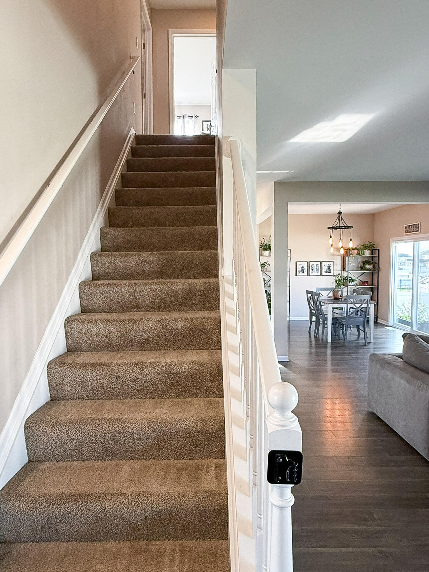 8518 Mayflower Drive
