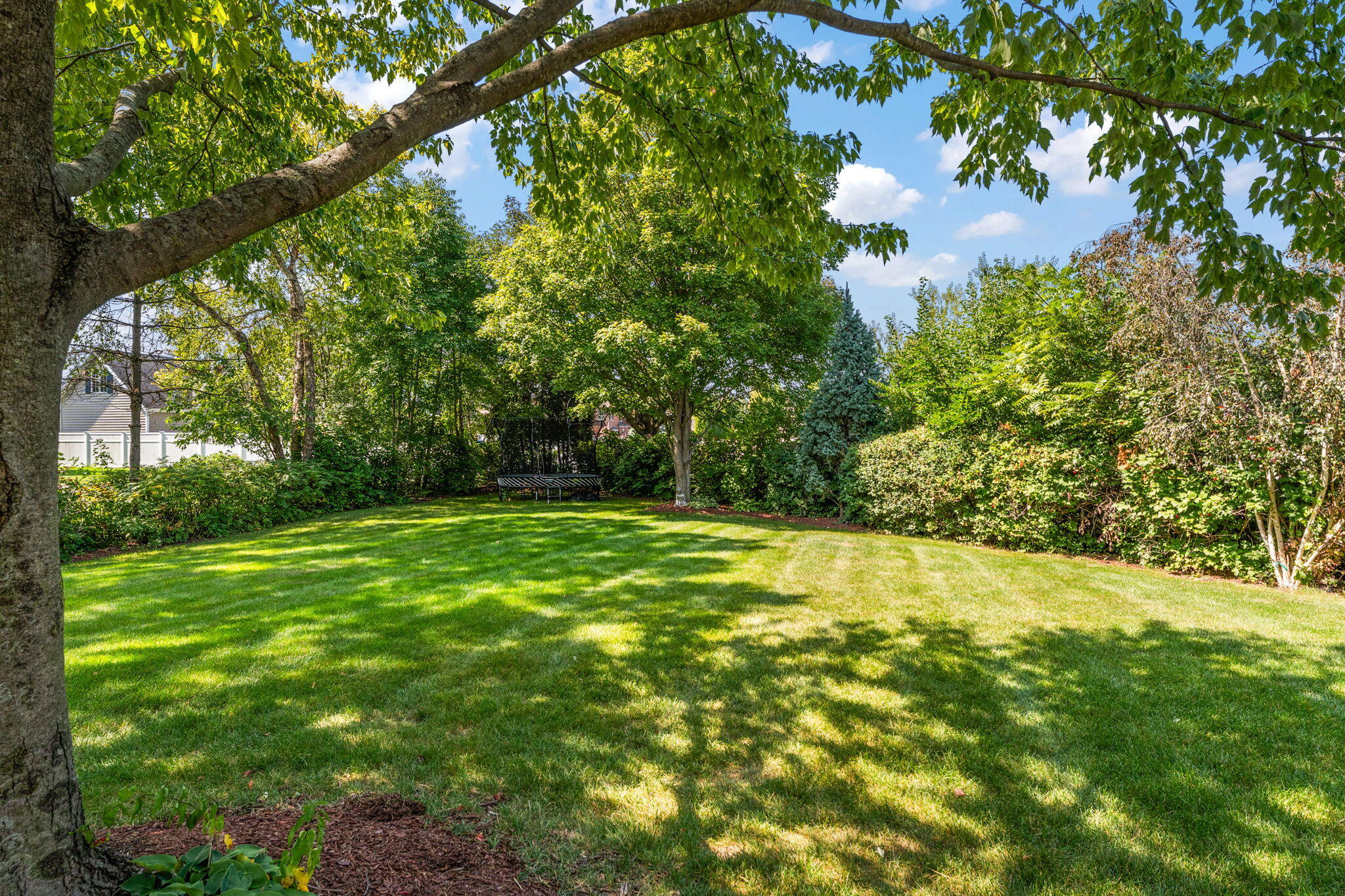 10022 Tanglewood Court