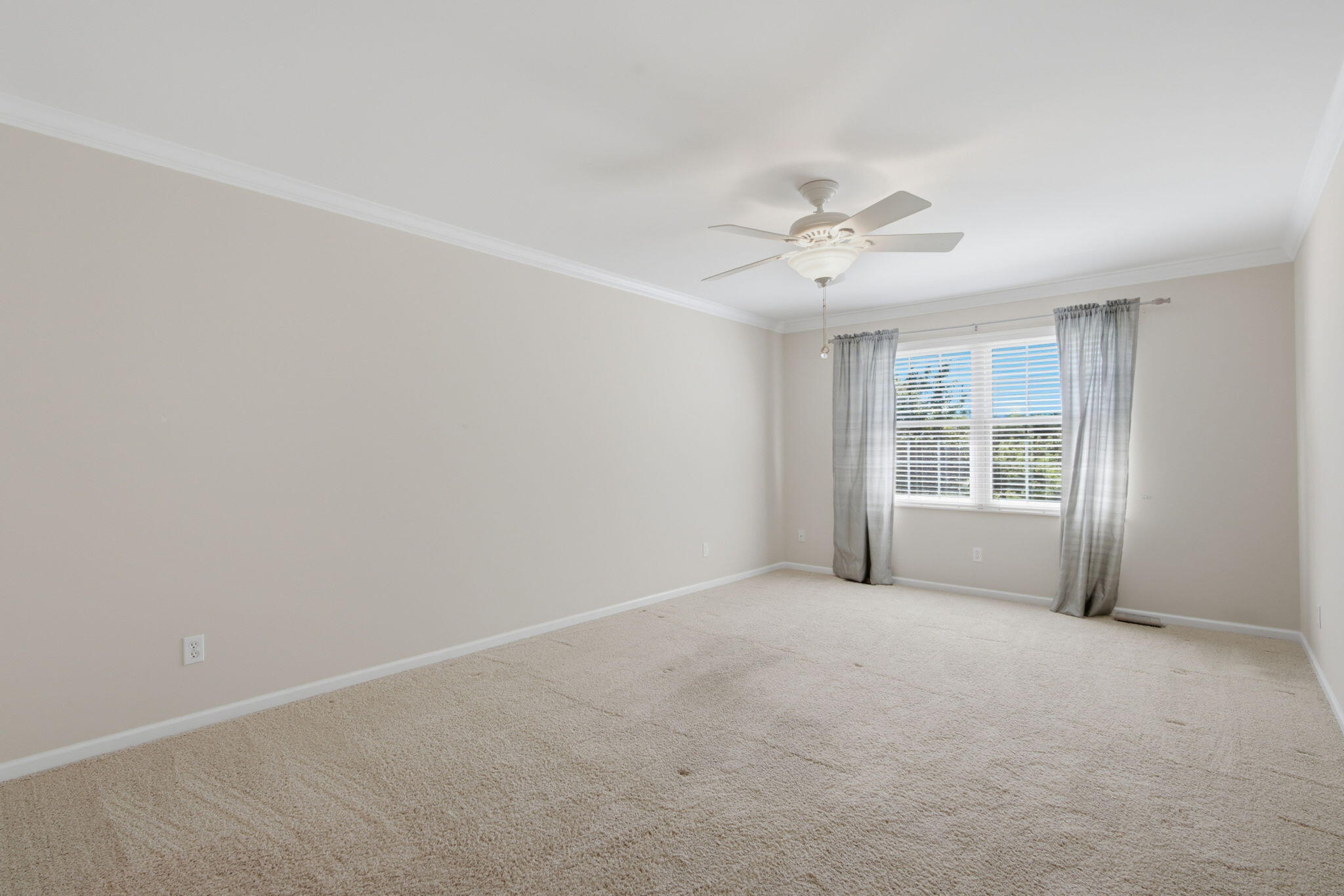 10877 Mathias Drive