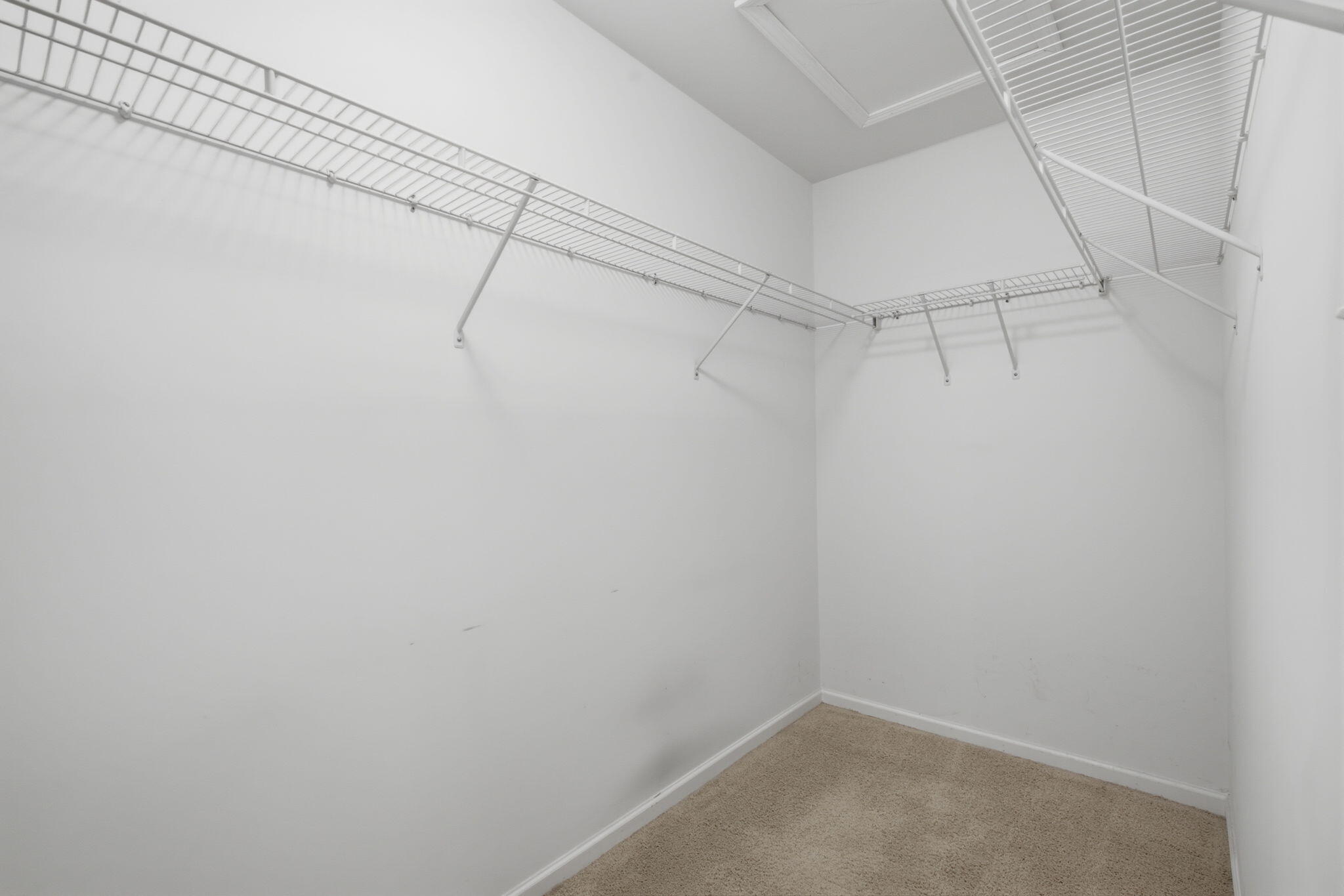 10877 Mathias Drive