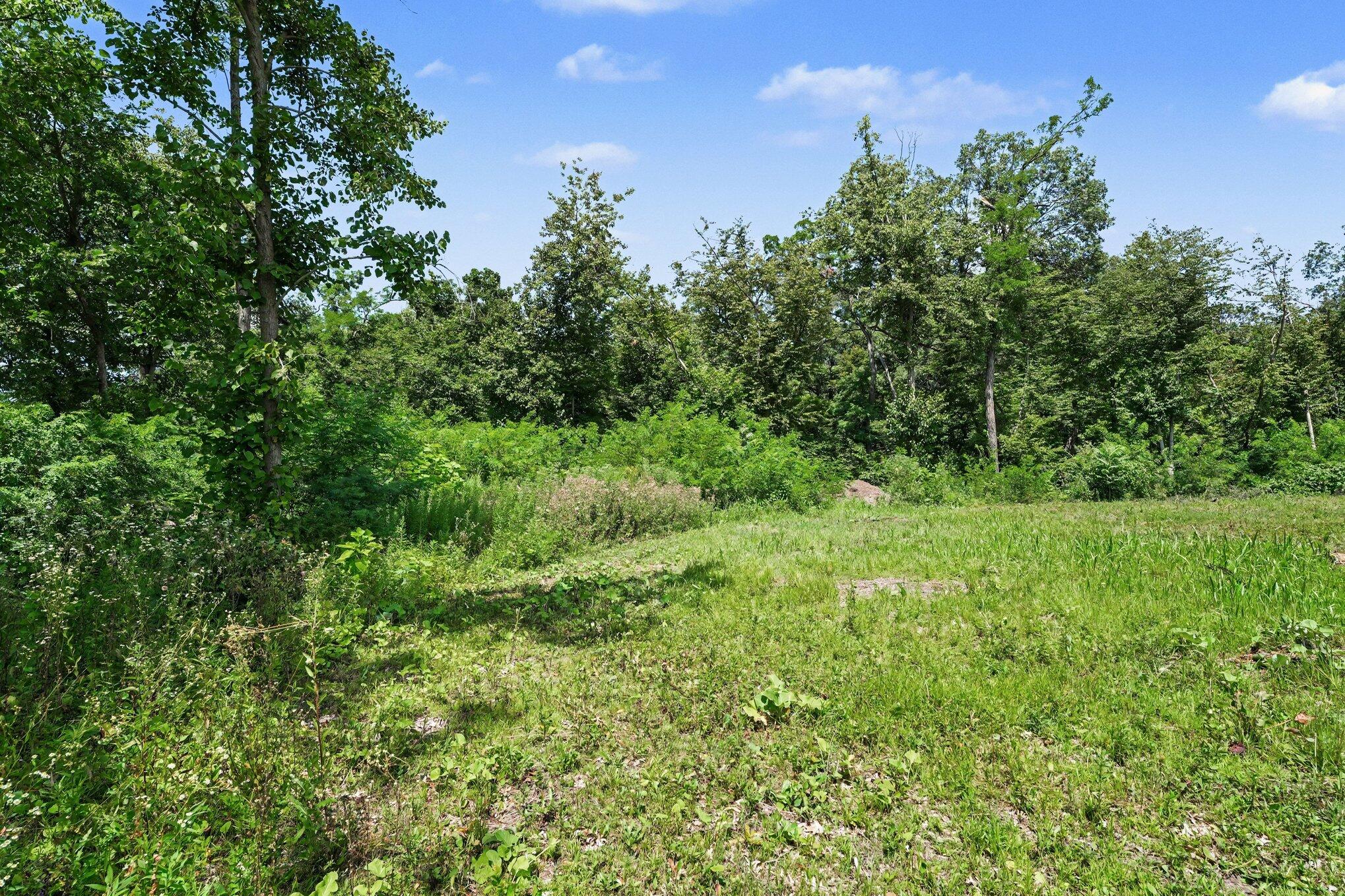 13035 Morse Lane