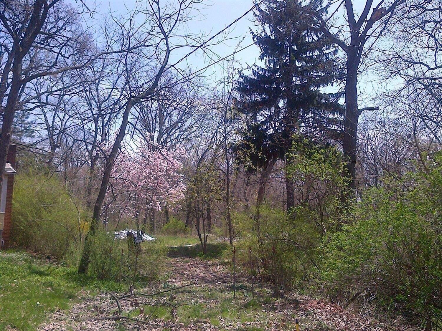 13035 Morse Lane