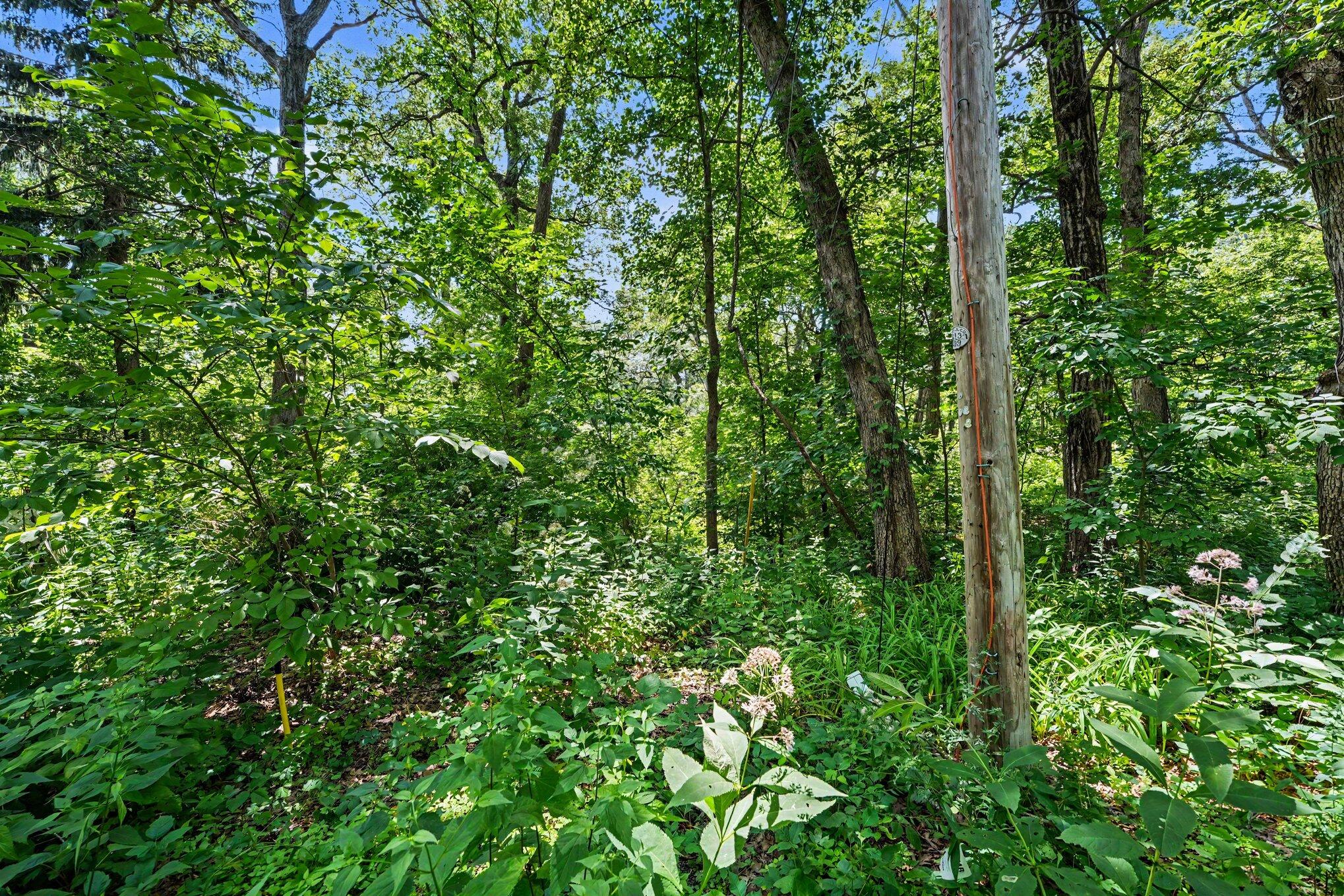 13035 Morse Lane