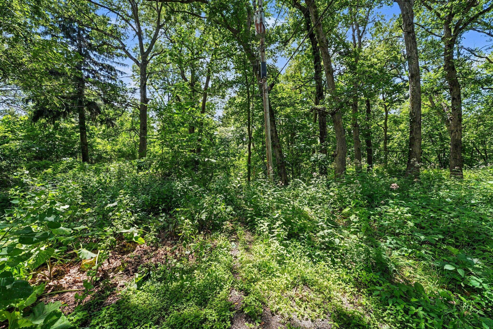 13035 Morse Lane