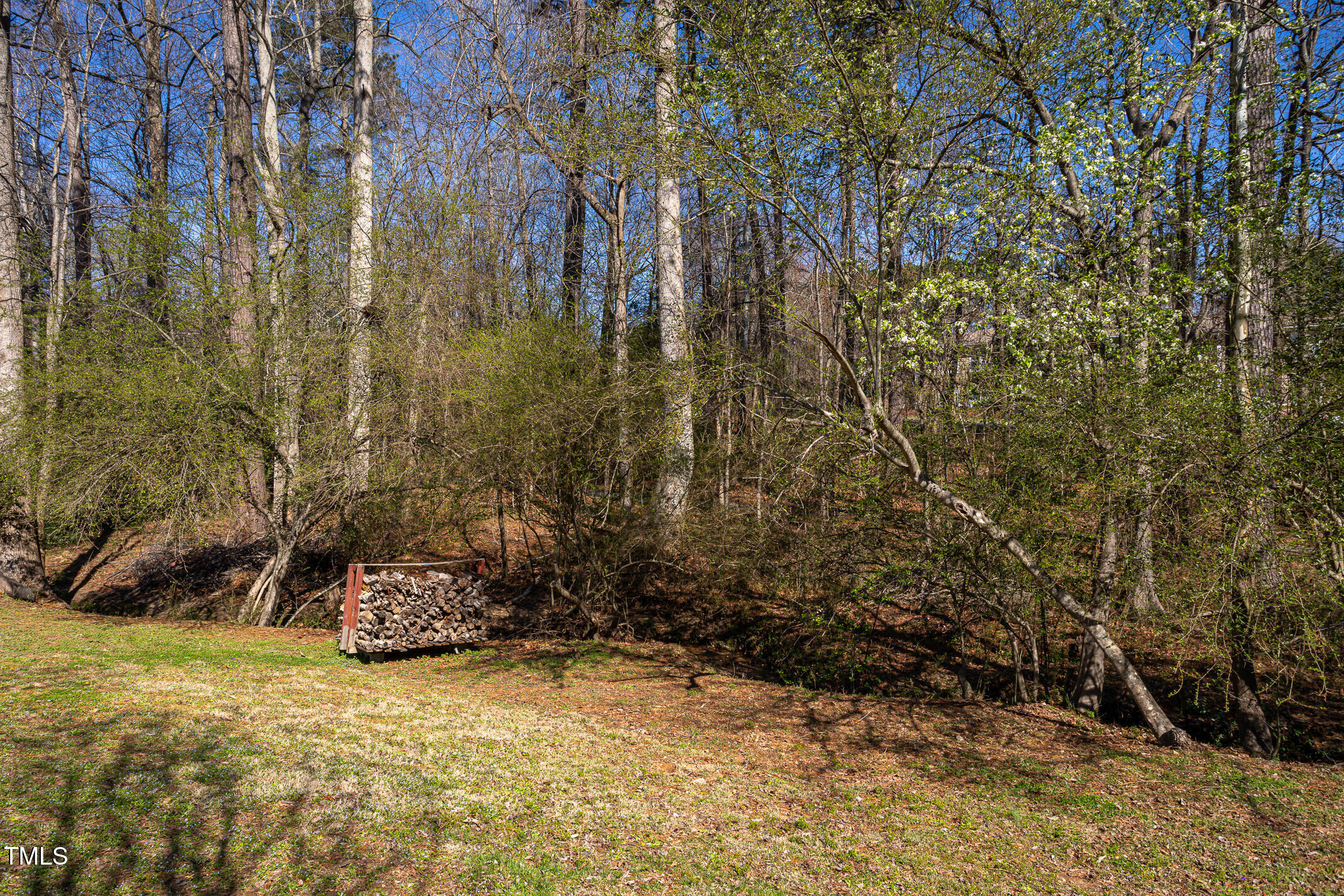 213 Yellow Poplar Avenue