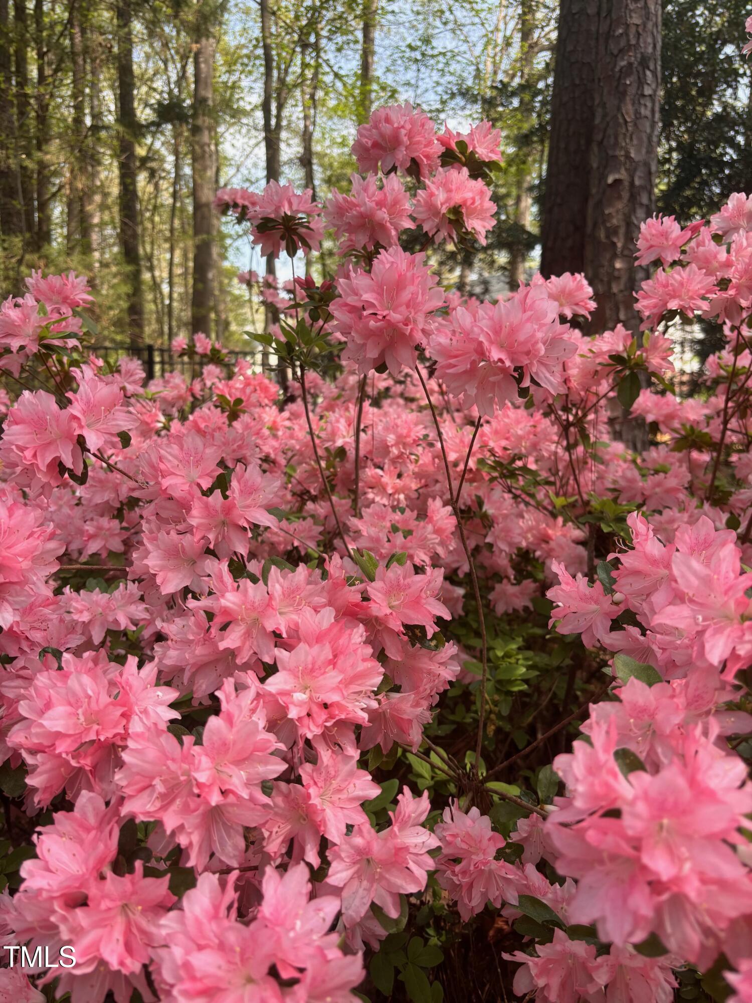 917 Queensferry Road