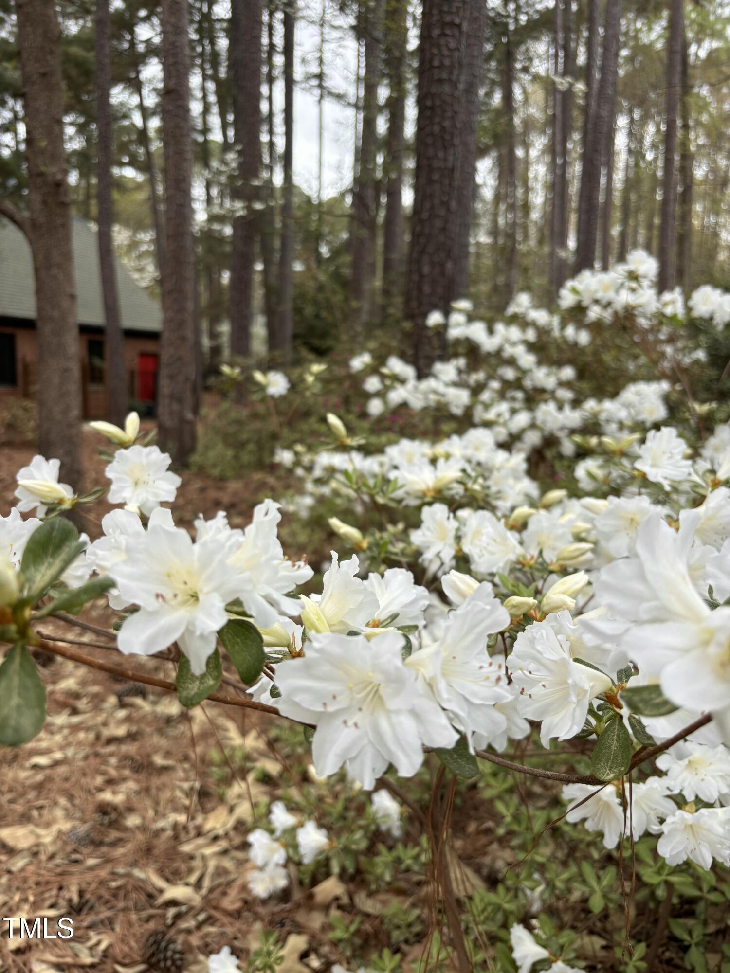 917 Queensferry Road