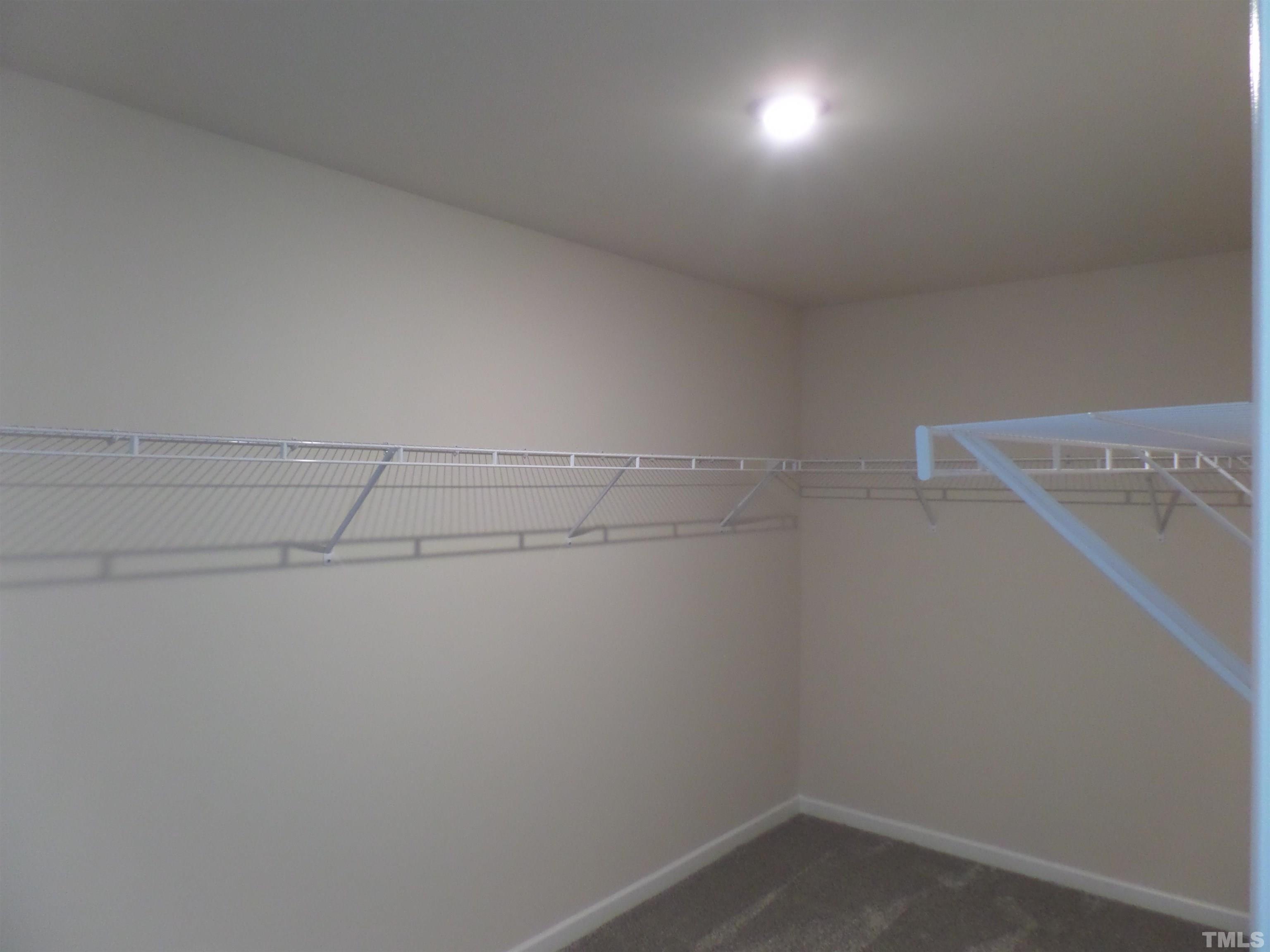 230 Ribbon Rail