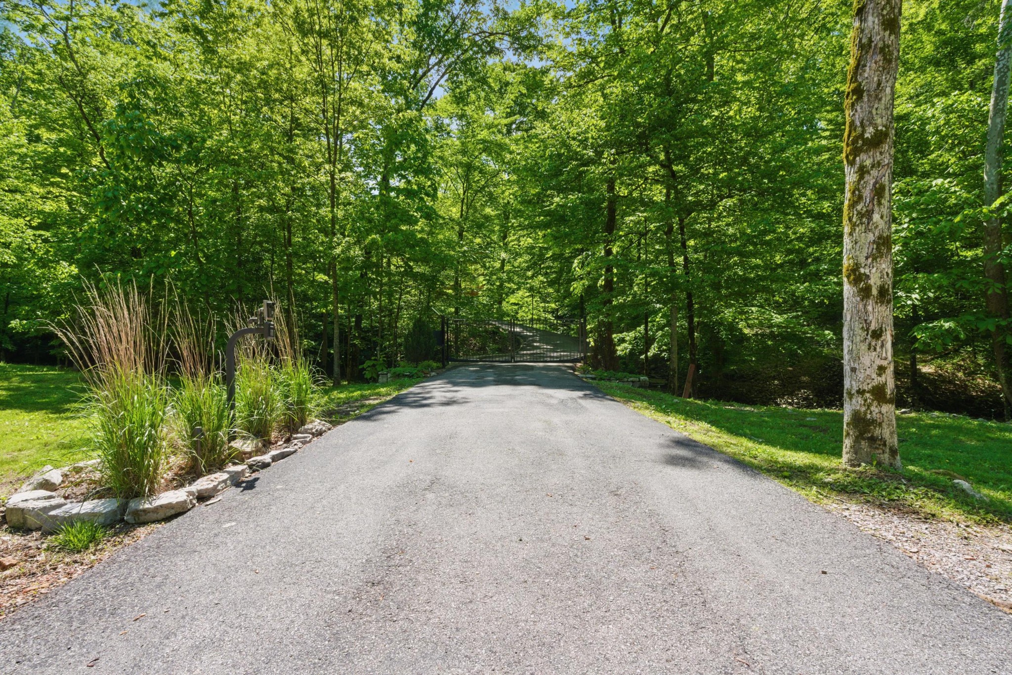 3560 Tyree Springs Rd