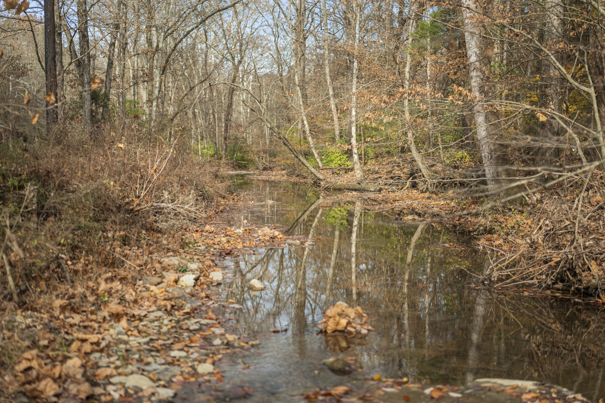 1420 Indian Springs Rd