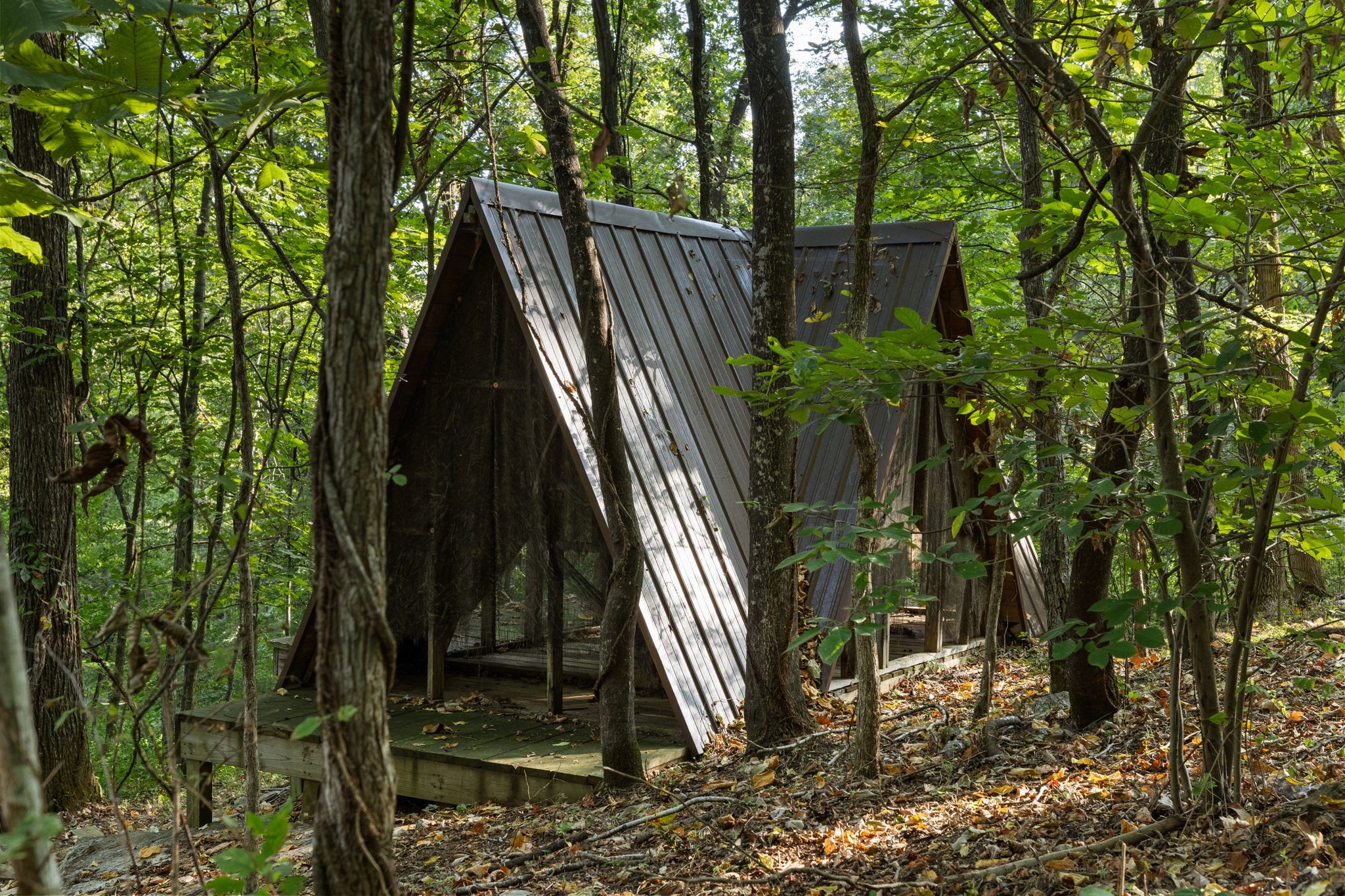 1858 Burke Hollow Rd