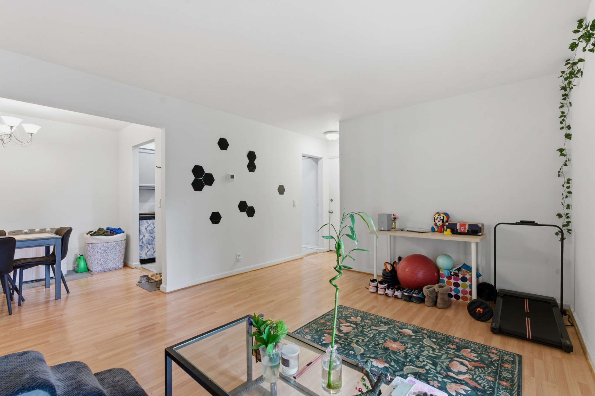 5025 Hillsboro Pike Unit: 15L