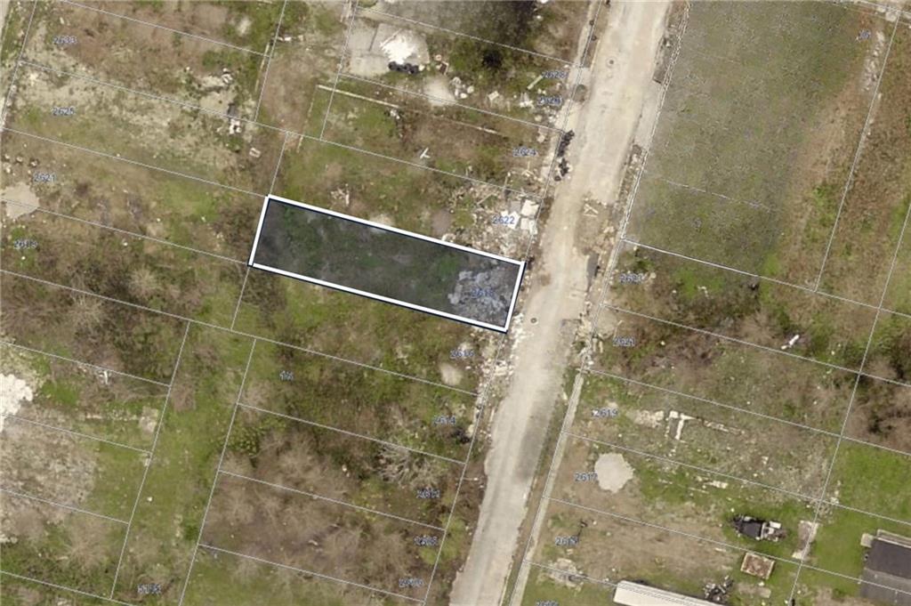 50246 LIZARDI Street