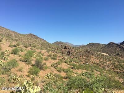 00xxx N Cow Creek/Lake Pleasant - D Road Unit: 4