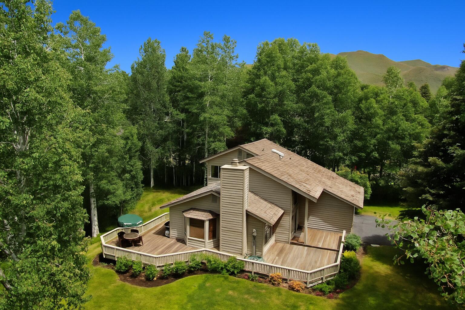 2 &4 Black Birch