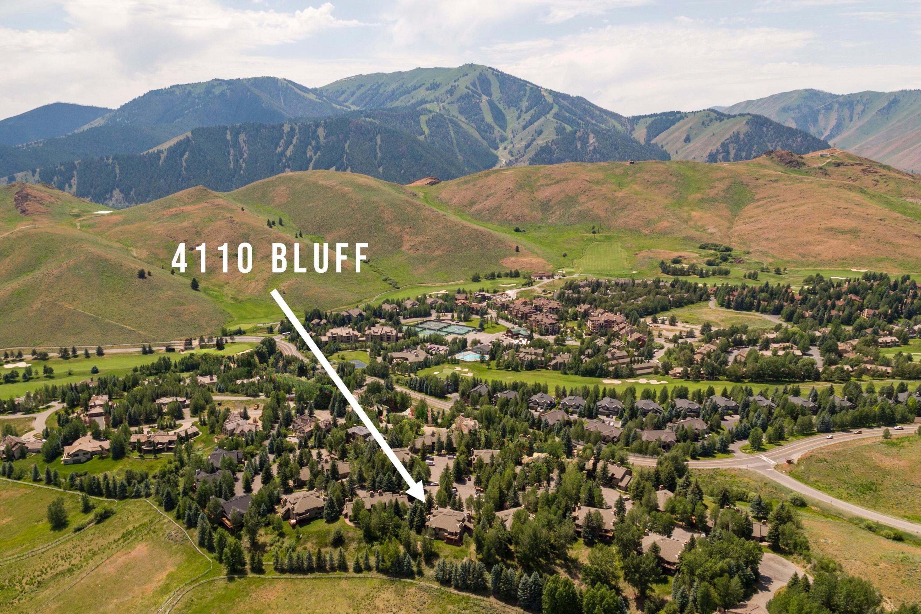 4110 BLUFF CONDO Dr