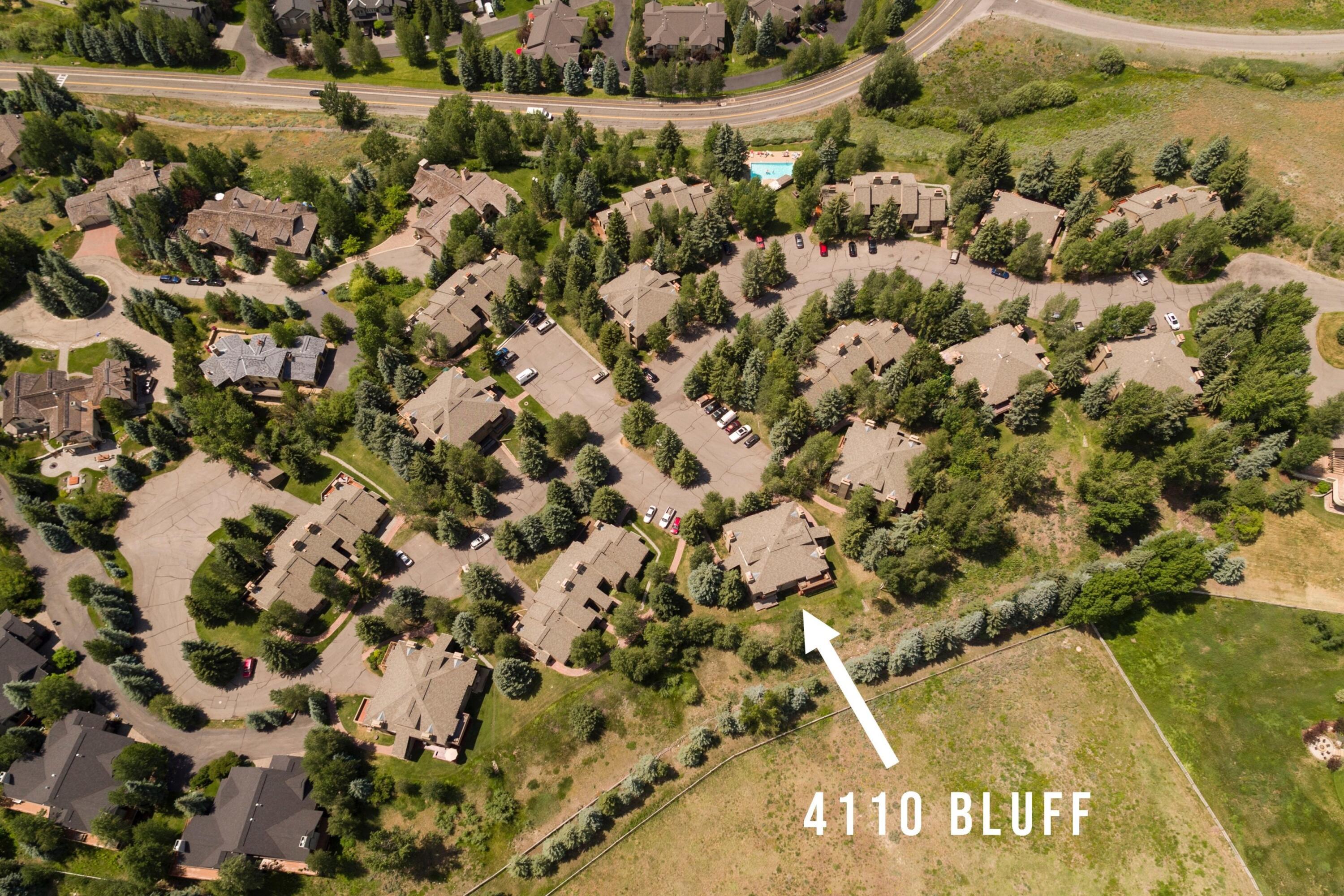 4110 BLUFF CONDO Dr