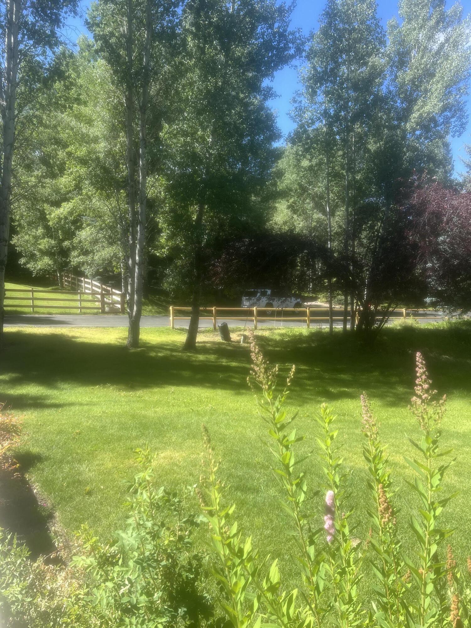 4 BLACK BIRCH Dr
