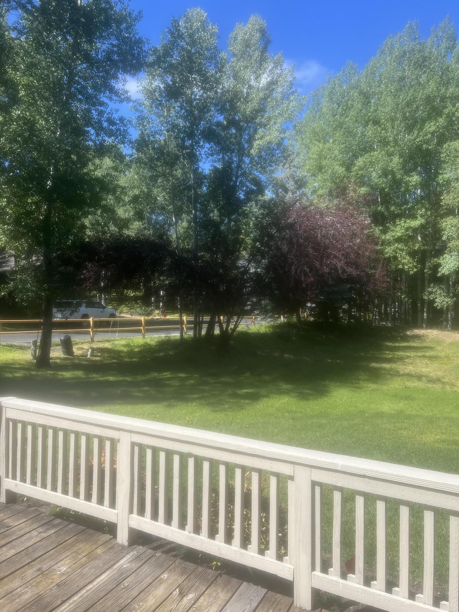 4 BLACK BIRCH Dr
