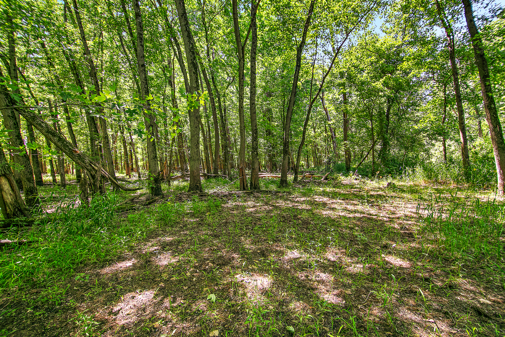 3159 N State Route 1