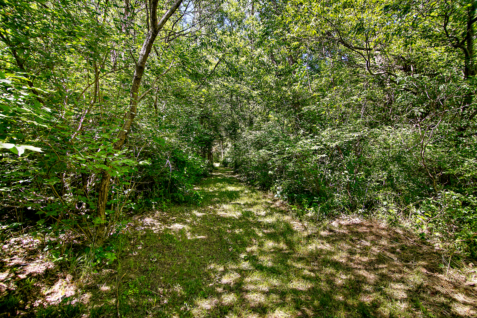 3159 N State Route 1