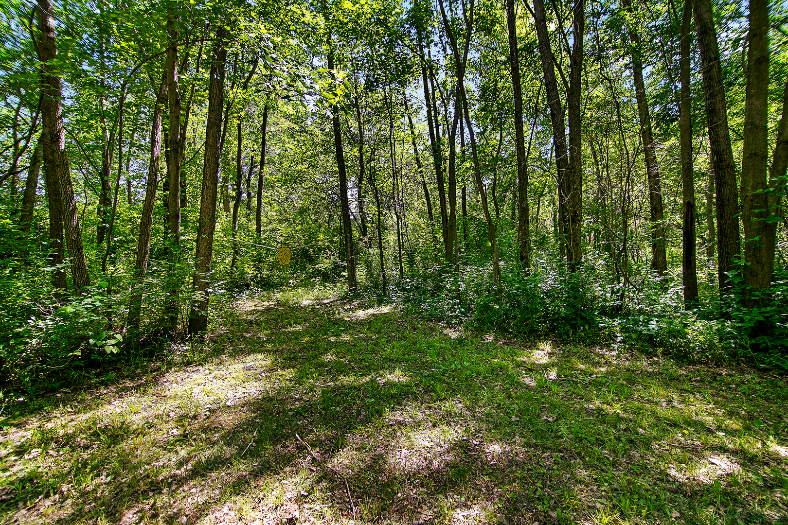 3159 N State Route 1