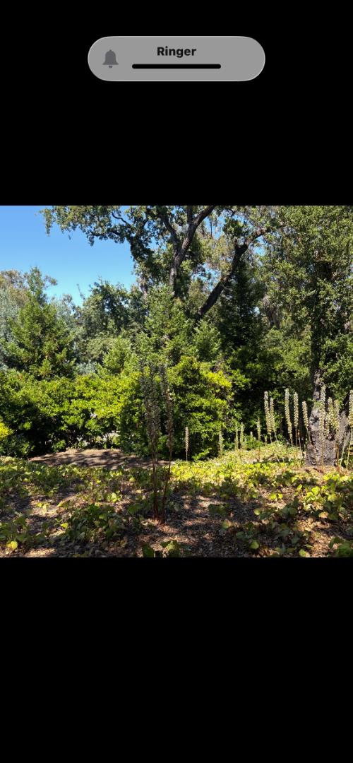 225 Oak Meadow DR